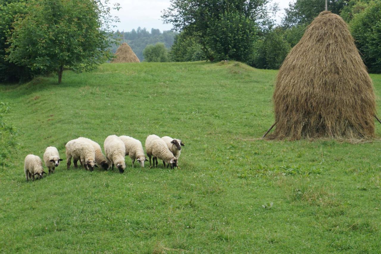 Small Apartment In Breb S Cosy Barn Bagian luar foto